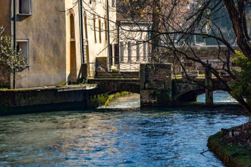 treviso 05