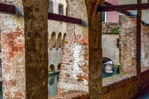 treviso 09