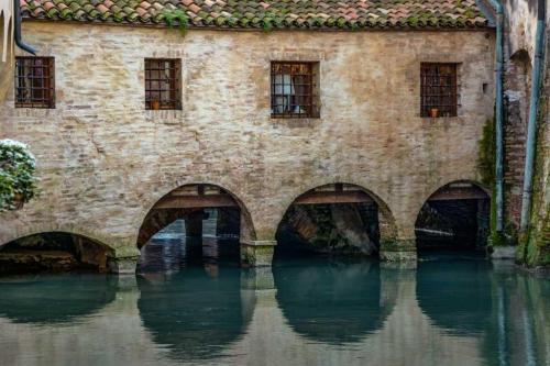 treviso 10
