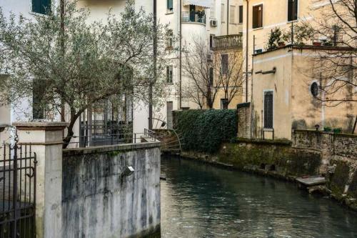 treviso 11