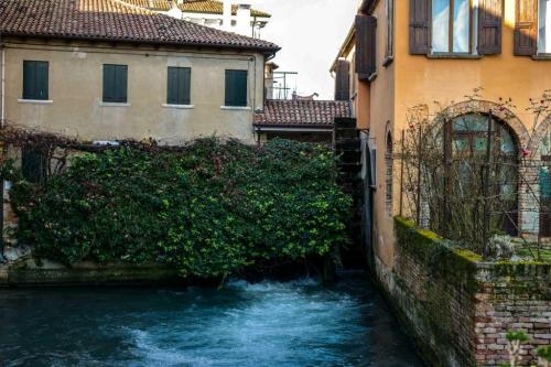treviso 12