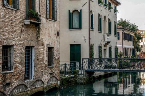 treviso 13