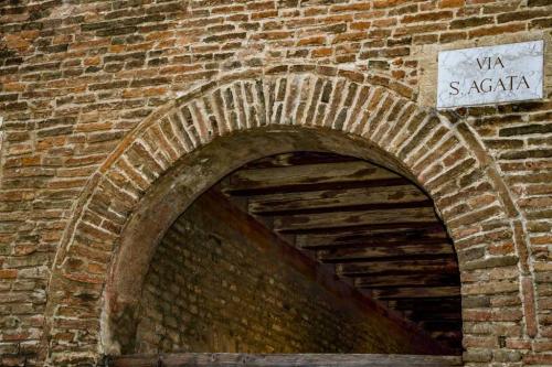 treviso 14