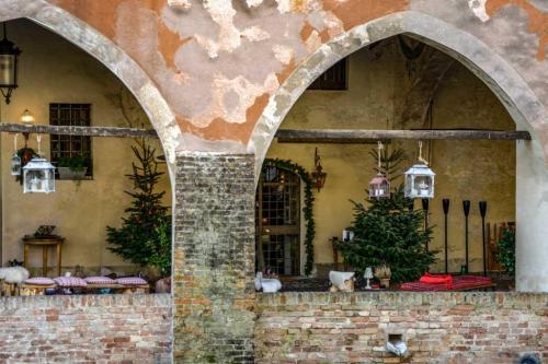 treviso 15