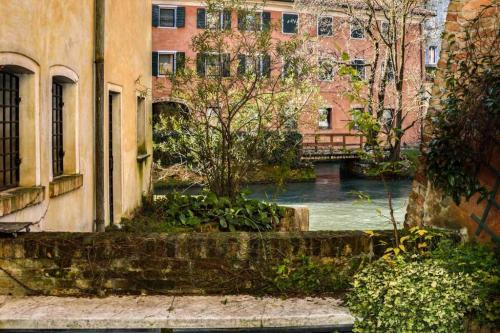 treviso 16